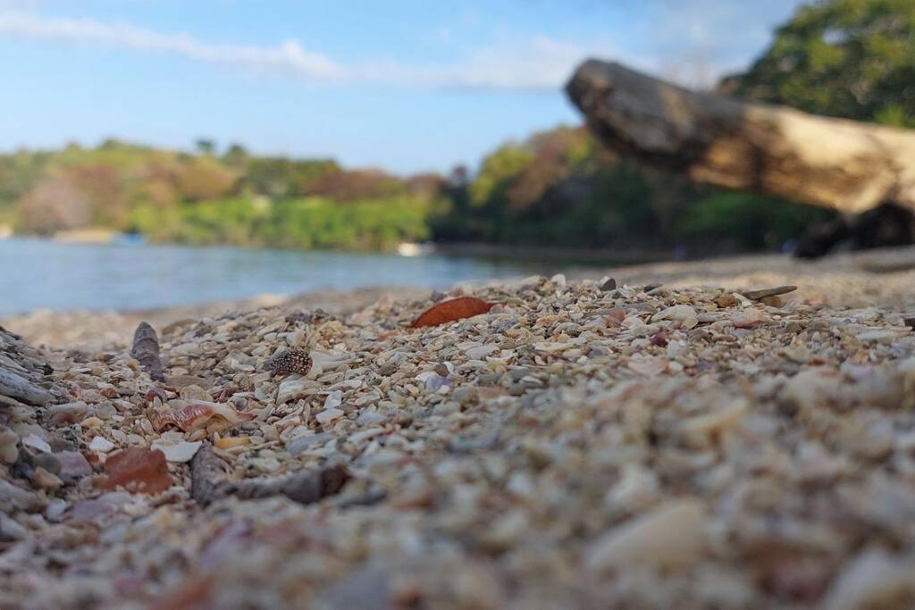 Vila Heliconias Del Mar Puntarenas Exteriér fotografie